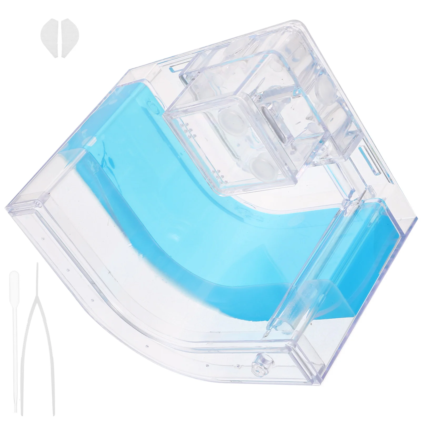 Муравьиная ферма муравьиная Ферма для наблюдения за жилым пространством коробка