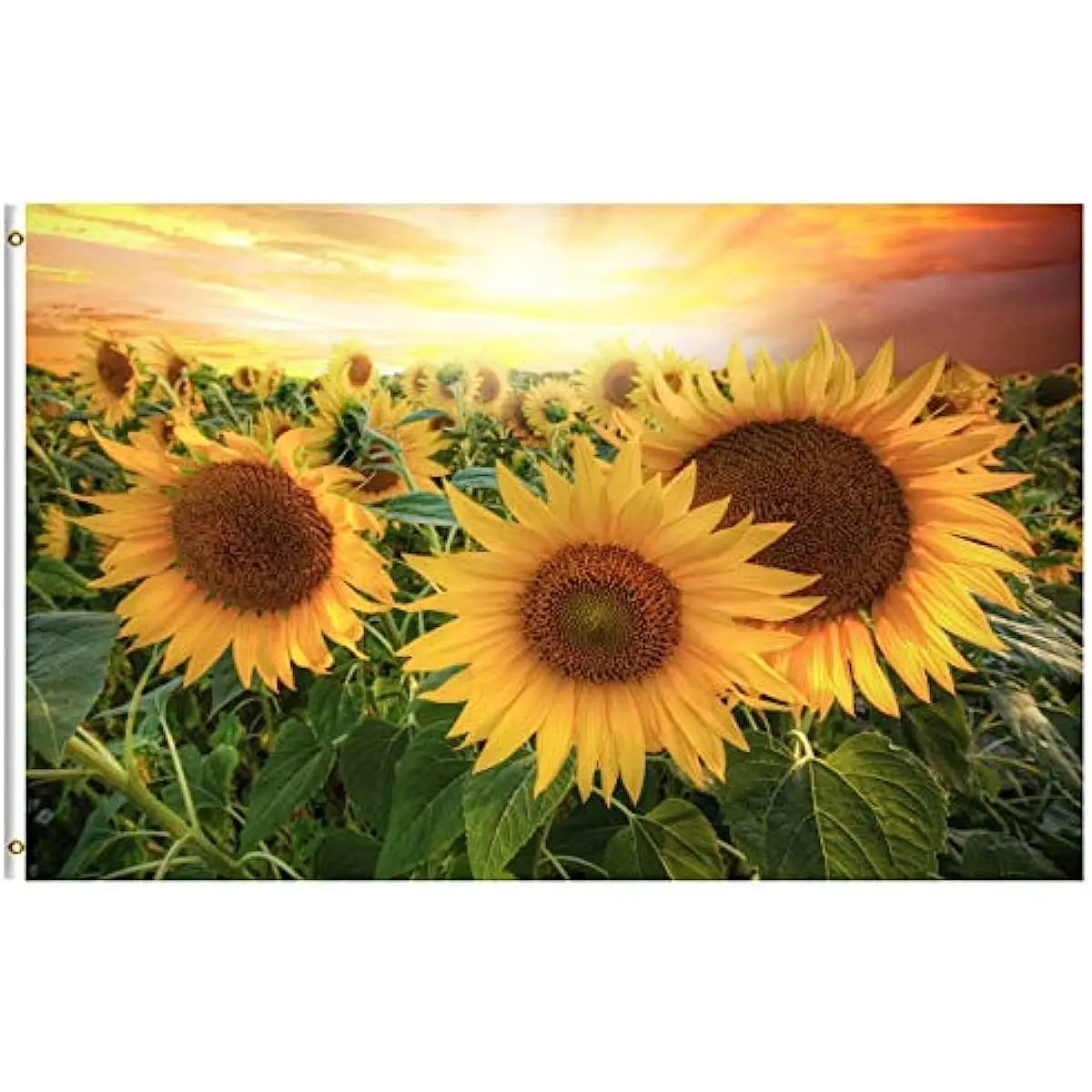 

Сезонные цветы подсолнуха, летнее солнце, падающий ландшафт, флаг 3x5 футов, уличное внутреннее украшение