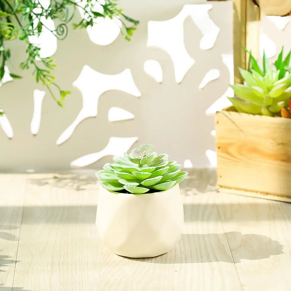 

Отличное растение-суккулент, легко использовать, прочный, легкий, мини-Декор, керамические суккуленты в горшке