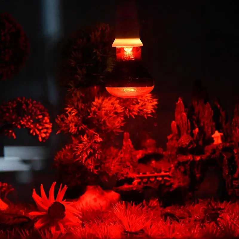 

Pet Red Heating Lamp E27 Day Night For Amphibian Snake Lamp Heat Reptile Bulb UV Light 25W 50W 100W AC220240V
