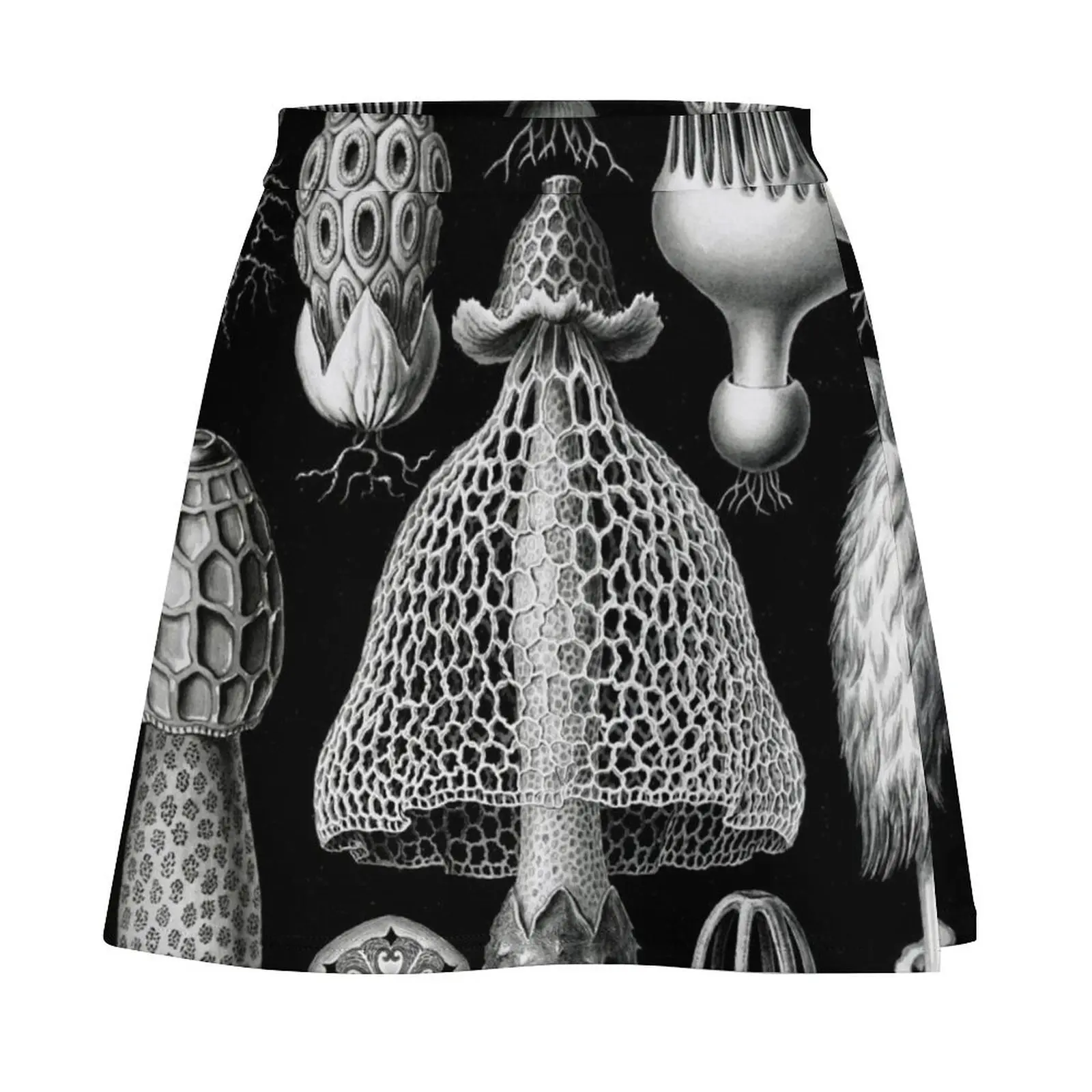 Basimycetes–Schwammpilze — иллюстрация грибы Stinkhorn (1904) от Ernst Haeckel мини-юбка новые платья