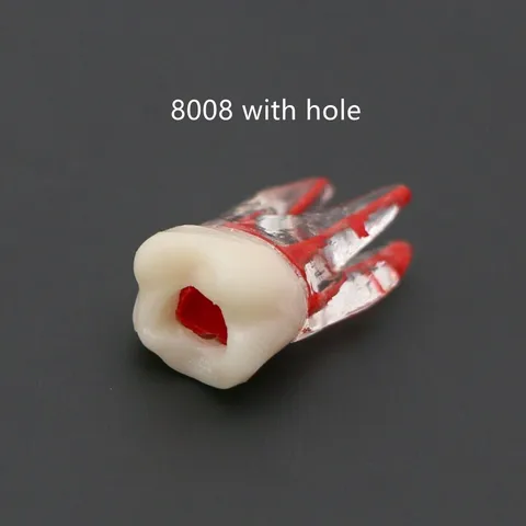 Стоматологическая модель, эндодонтические модели корневых каналов, эндодонтический файл, RCT, тренировочный блок, лаборатория для обучения целлюлозной полостью для студентов, обучающих исследований