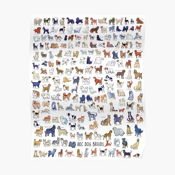 

Every Akc Dog Breed Poster Room Decoration Print Painting Picture Wall Vintage Funny Decor Art Modern Mural Home No Frame