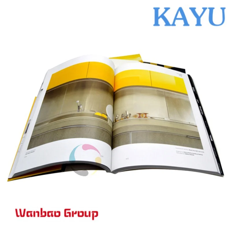 Рисунок 5 - Профессиональная недорогая брошюра/Каталог/журнал