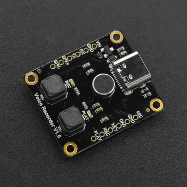 Fermion: DF1101S модуль записи голоса