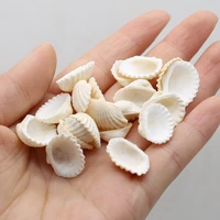 100g natural shells conch marine style craft fish tank aquarium ornaments decor diy charms for jewelry making earrings bracelet