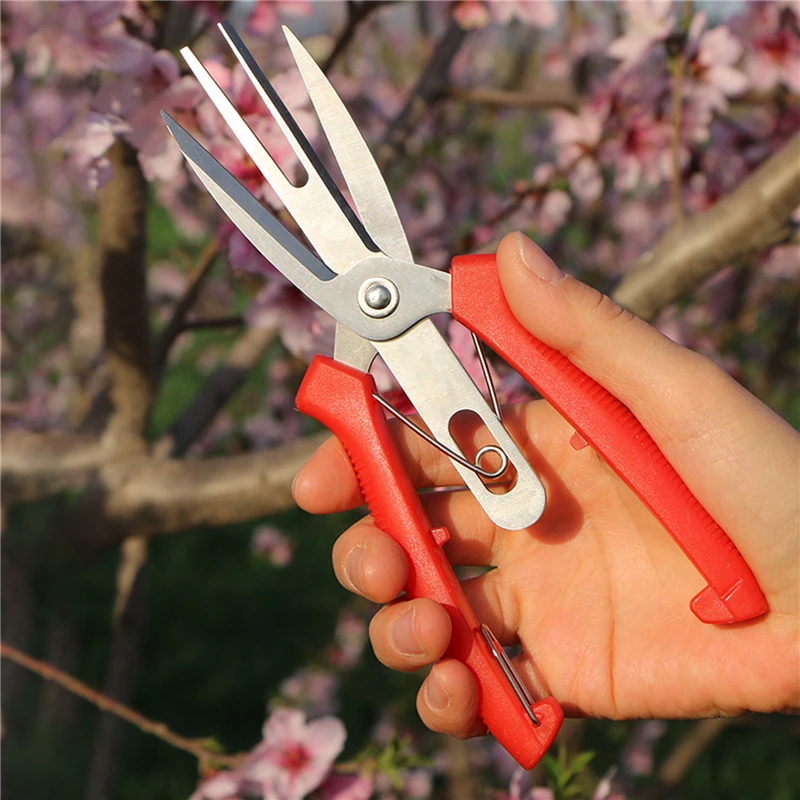 

Double-edged Garden Scissors Fruit Picker Plant Pruner Garden Shears Fruit Tree Flower Grape Pruning Shears Bonsai Tools