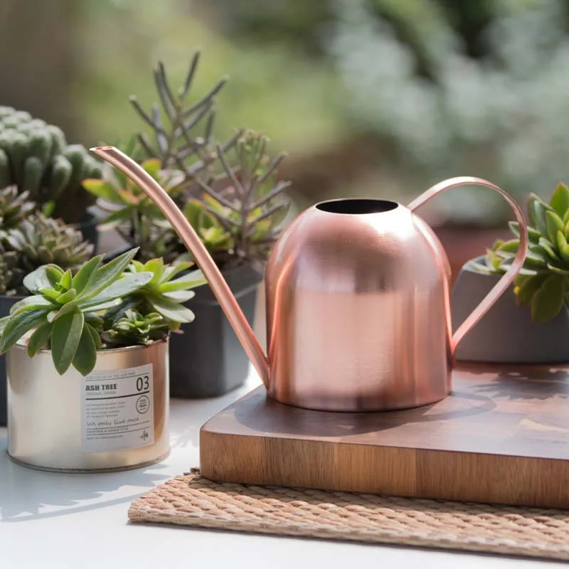 

Stainless Steel Watering Kettle Watering Can Golden Long-mouthed Plant Watering Can Indoor Small Watering Pot Gardening 500ML