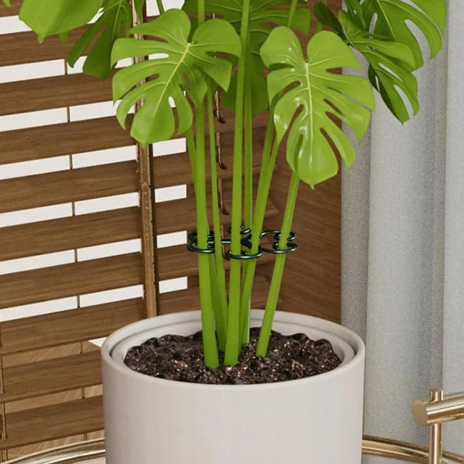 Фото Опоры для комнатных растений, 4 штуки, зеленые, портативные, регулируемые, для стеблей растений, для сада, дома, внутреннего дворика №2
