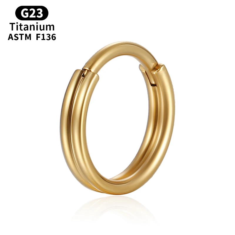 G23 Titanium Septum Zircon Nose Rings Two-row Piercing Cartilage Clicker Hinged Segment Tragus Earrings Body Jewelry for Woman
