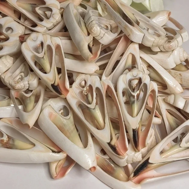 

Julie Wang 7-9cm Natural Conch Hollow Slices Charms Seashell Beach Aquarium Decor Handmade Jewelry Making Accessory