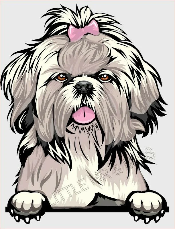 

For SHIH TZU Peeking Dog Breed Colour Window Wall Laptop w/proof Sticker