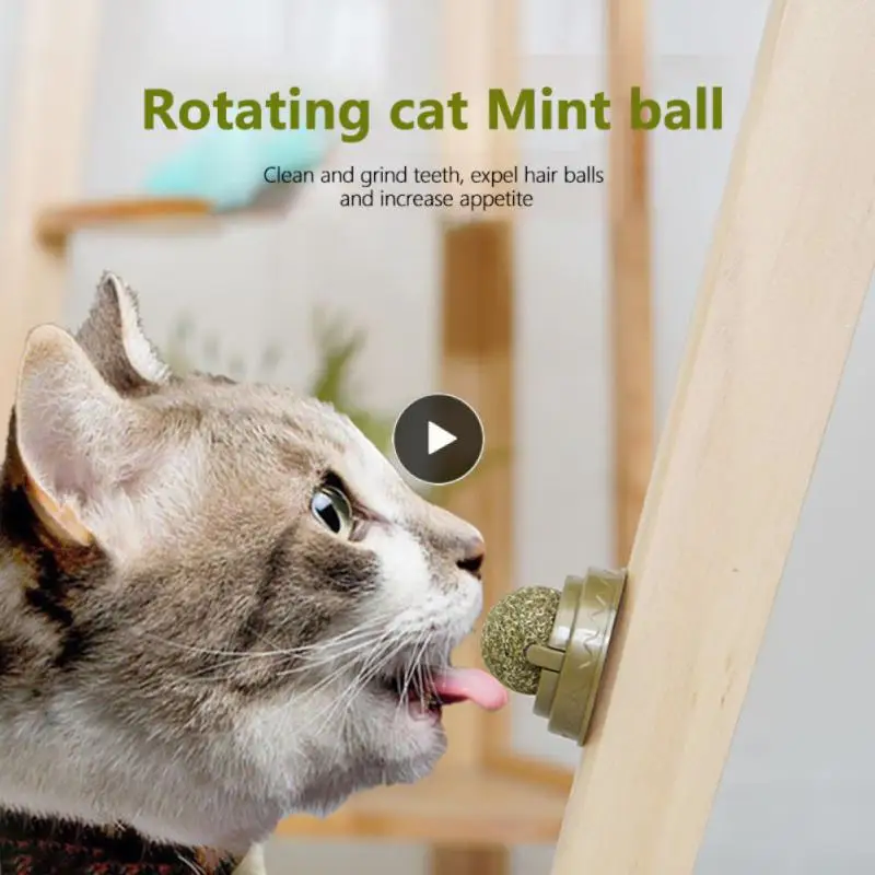 

Cat Litter Tray Cat Scratcher Cat Toy For Cats Pet Cat Tower Pet Supplies Catnip