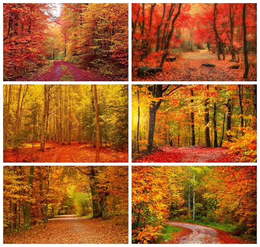 Фон для фотосъемки с изображением осеннего леса размер в ассортименте