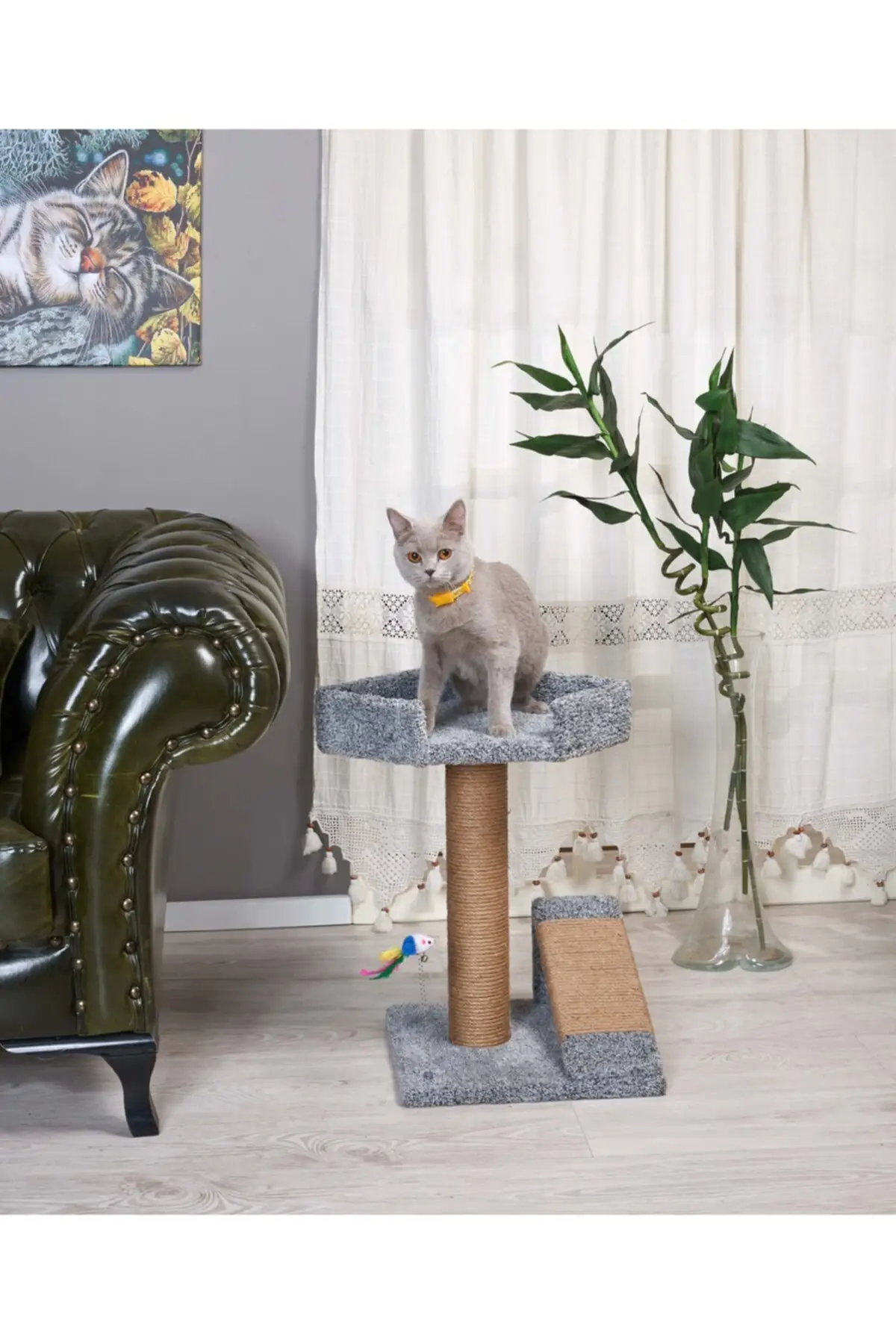 

3 in1 Cat Scratching House Direct & Ramp & Tumbler