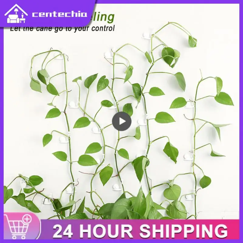 

5/8/10PCS /set Green Radish Green Plant Wall Climbing Fixture Household Seamless Paste Buckle Indoor Vine Plant Wall Hook Fixing