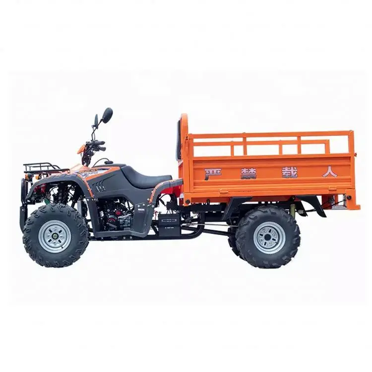 

Hot Sell 2X4 4X4 Farm Gasoline Quad Atv 300CC