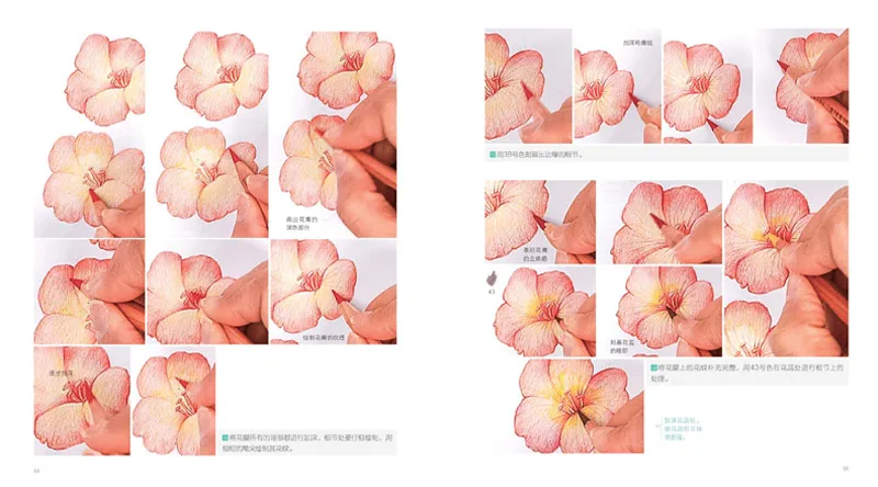 Рисунок 4 - Книга с цветочным рисунком цветной