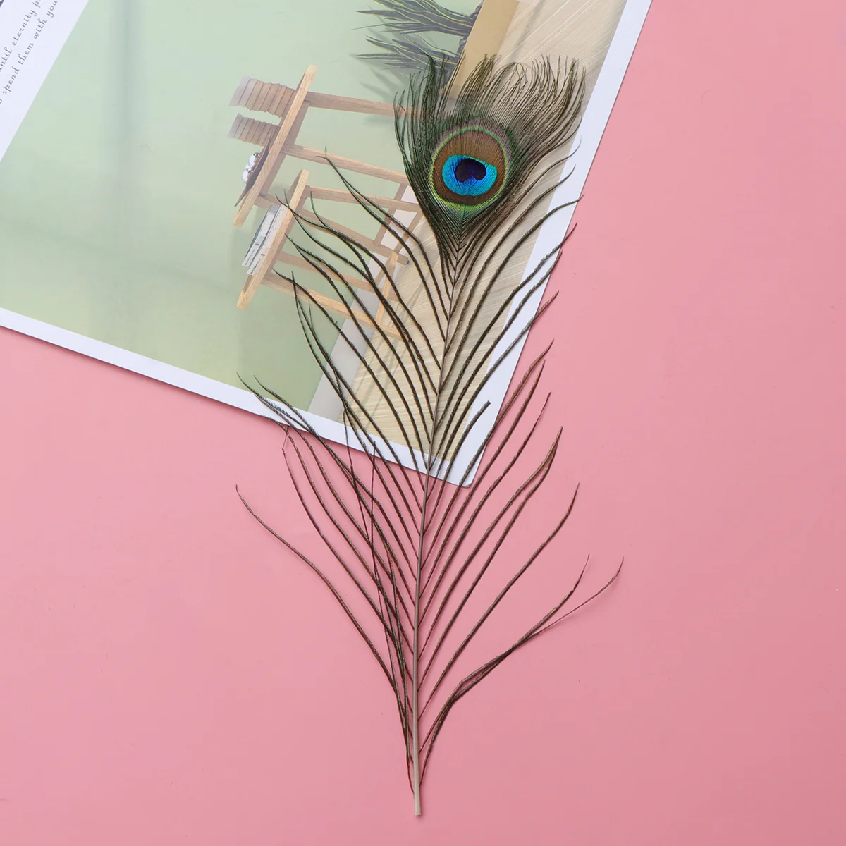 

20 Pcs Pbr Hat DIY Craft Natural Feathers Costume Bonnet Hats Bonnets La Nf