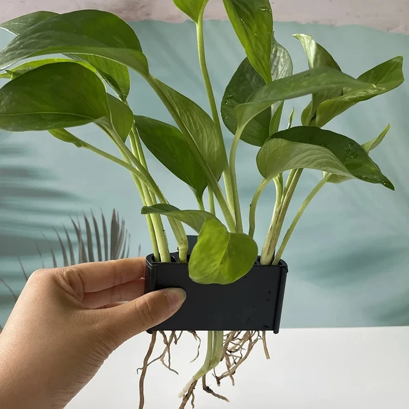 Аквариумный кашпо корзина для растений украшения аквариума со встроенным