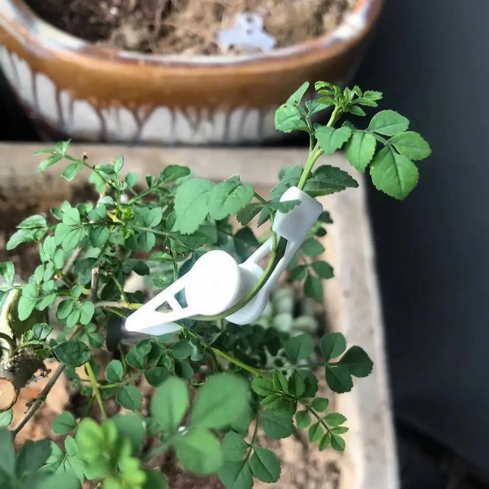 

Adjustable Angle Plant Bender Light Training Plant Growth Plant Branch Plant Holder Tool Clips Buckle Ixed Supports F2c3