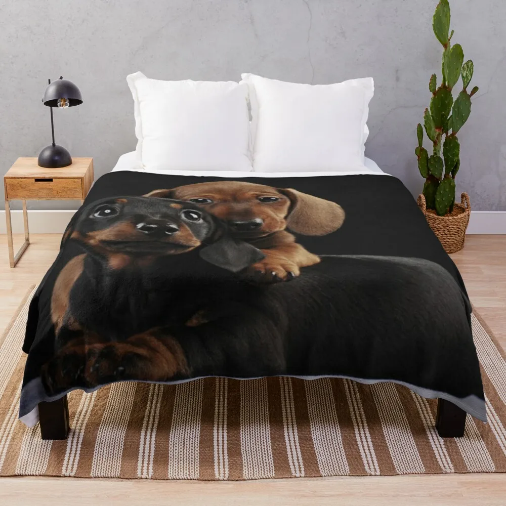 

Dachshund Dog portrait photo pupies Throw Blanket fleece fabric throw and blanket Fleece