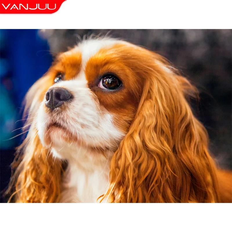 

Diamond Painting King Charles Spaniel5D DIY Animal Dog Diamond Embroidery Cross Stitch Kit Mosaic Handicraft Gift Home Decor