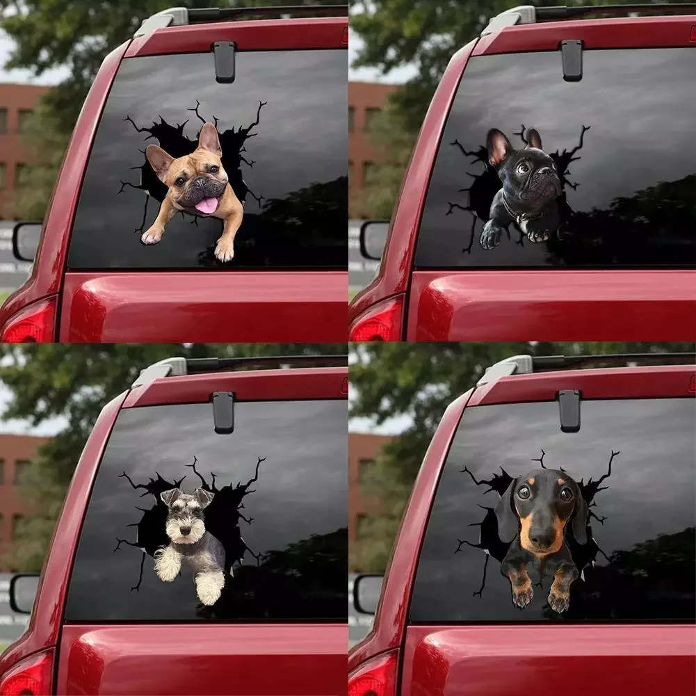 3D Скелет череп/курица/кошка/фотография стильная стена автомобиля фотография