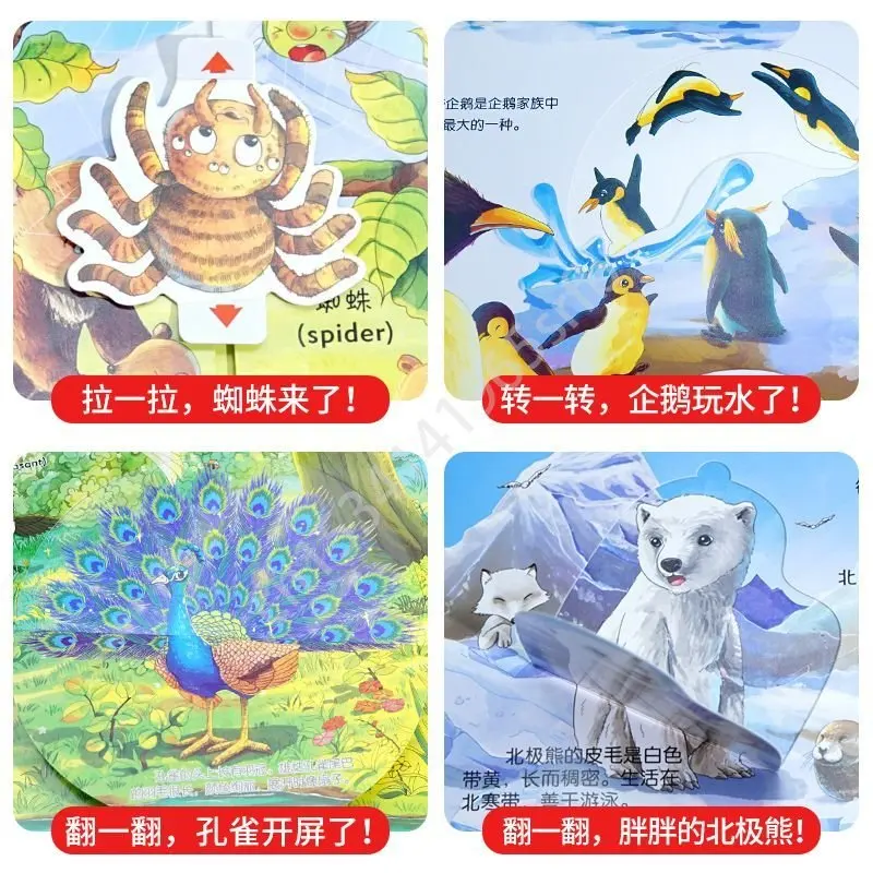 Рисунок 4 - 3d всплывающая книга