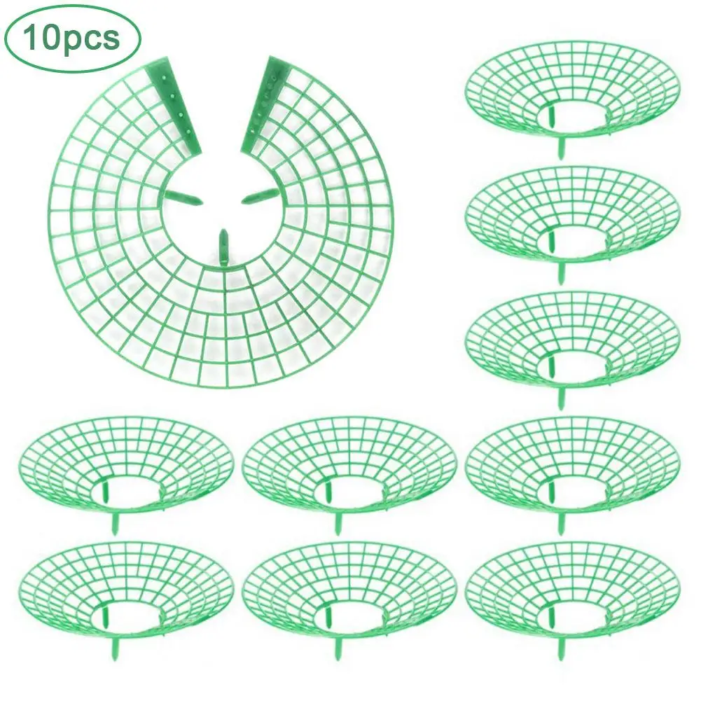 10 шт. пластиковые квадратные подставки для клубники