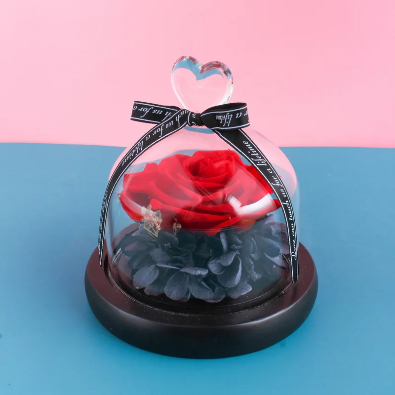 

Hot Enchanted Red Rose Fairy String Lights In Dome For Christmas Valentine's Day Gift