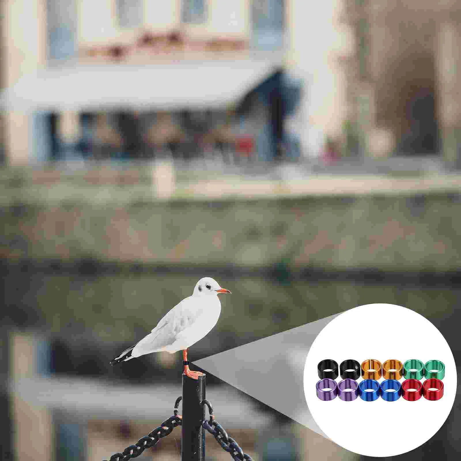 

Leg Bands Rings Pigeon Bird Ring Chicken Foot Clip Band Poultry Identification Birds Dove Duck Holder Plastic Tags Training