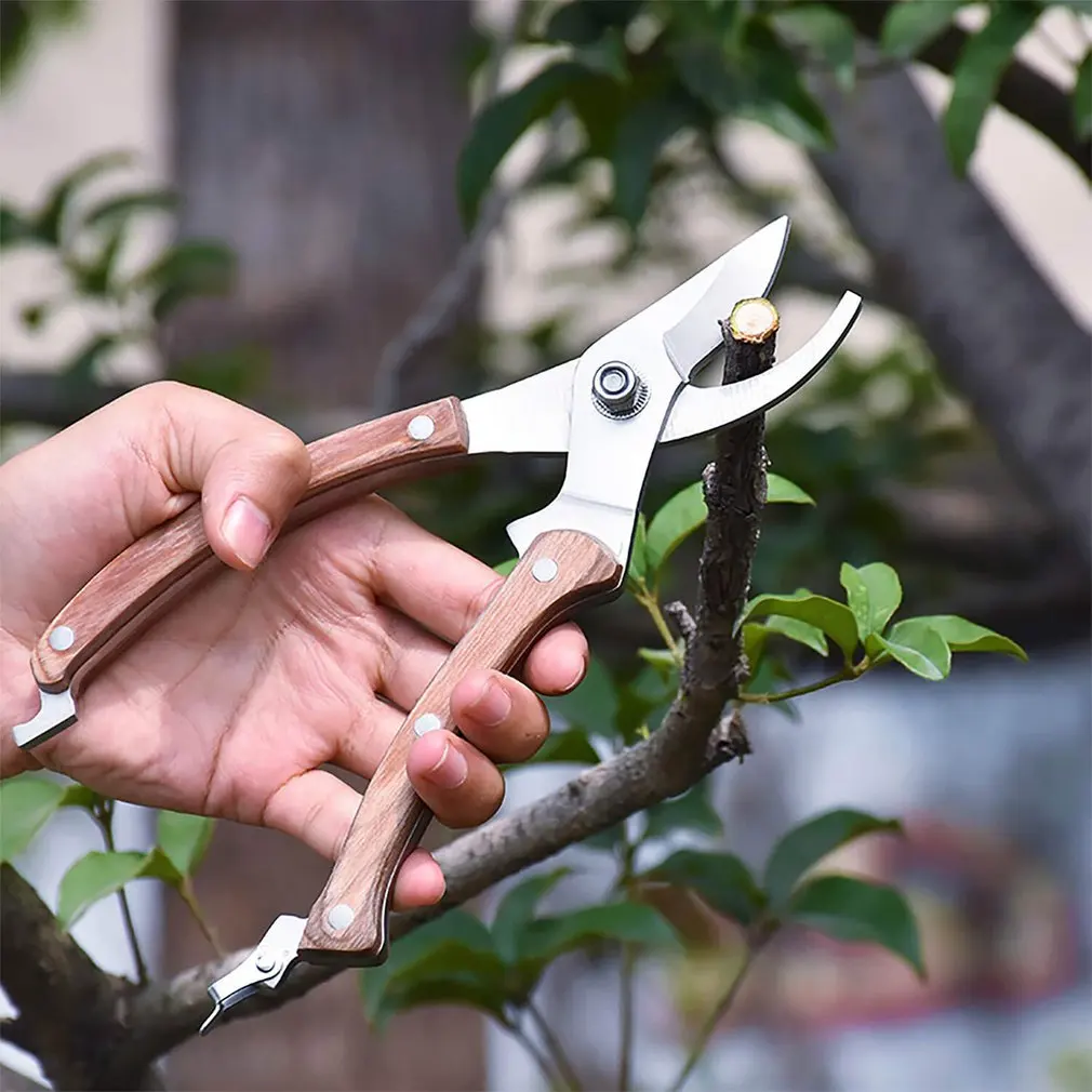 

Professional Sharp Pruning Shears Garden Scissors Tree Trimmers Secateurs Multifunctional Pruning Shears Gardening Tool