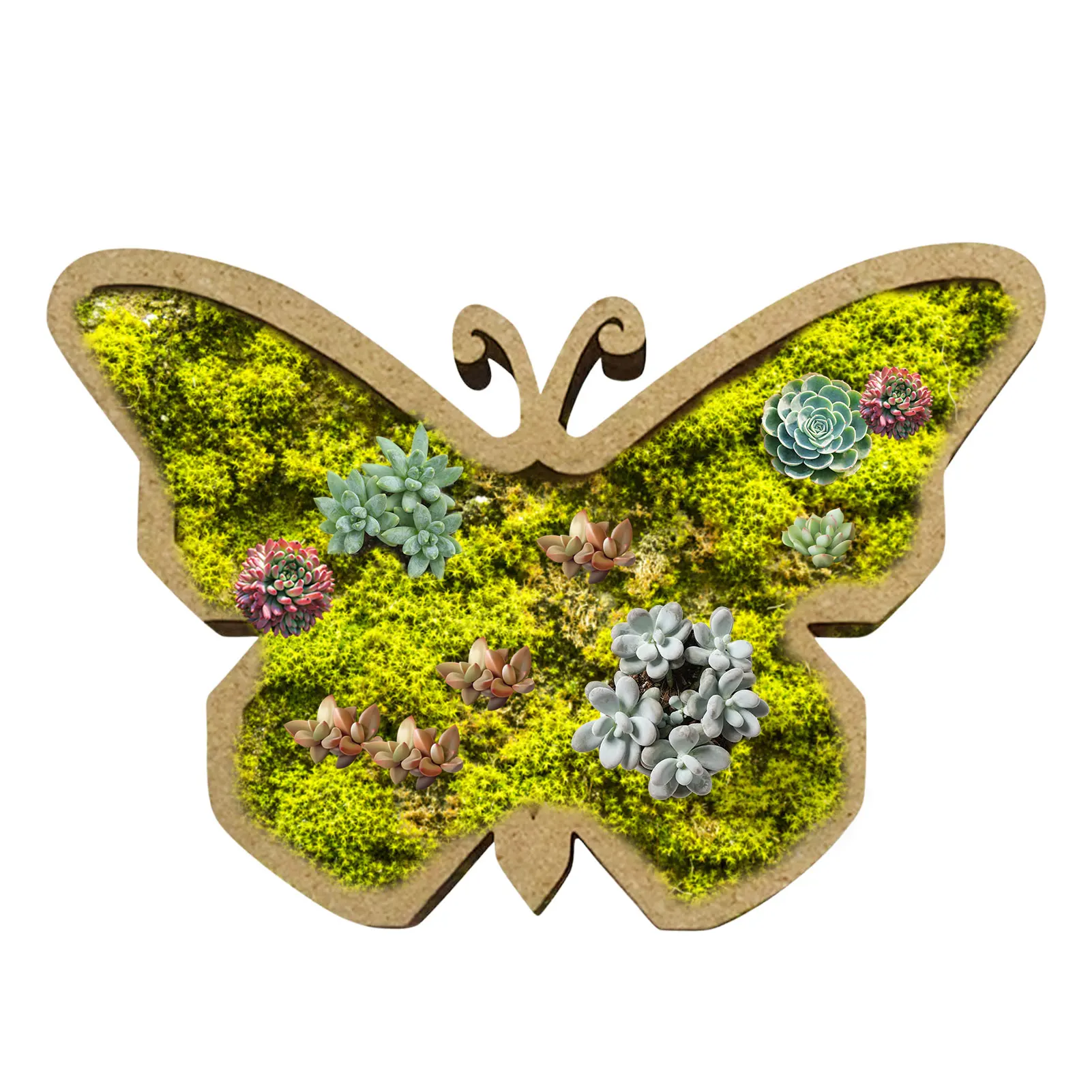 

Animal Shaped Shallow Succulent Pots Unique Shallow Succulent Pots Ornament Bonsai Plant Holder Wooden Planter Yard Balcony