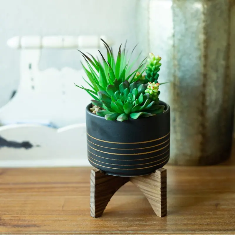 

Artificial Succulent Mix in Black Ceramic Planter with Gold Lines on Wood Stand