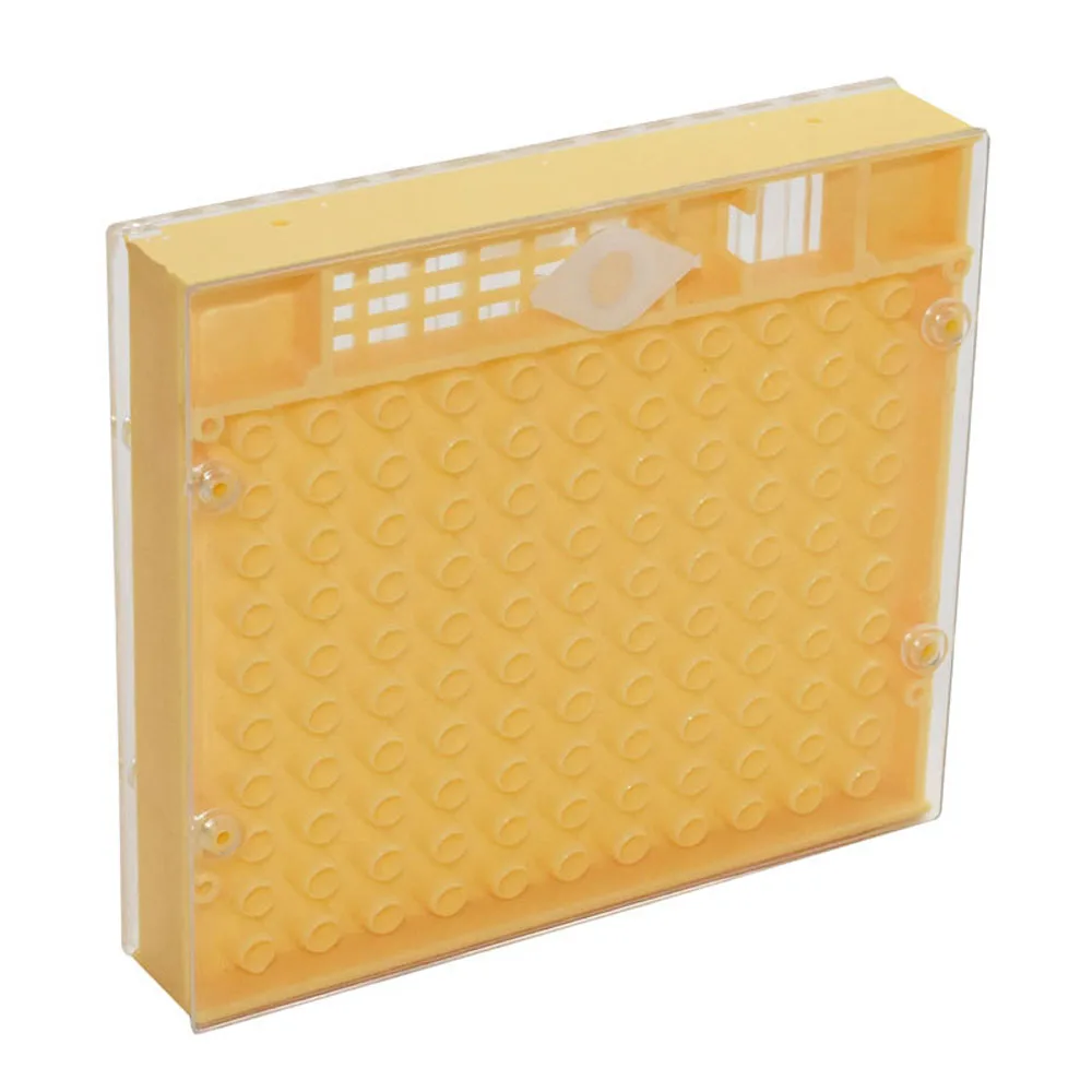 

1 Pcs Beekeeping Equipment Tools Rearing Queen Bee Plastic Box Cage For Professional Beekeeper Apiculture Supplier