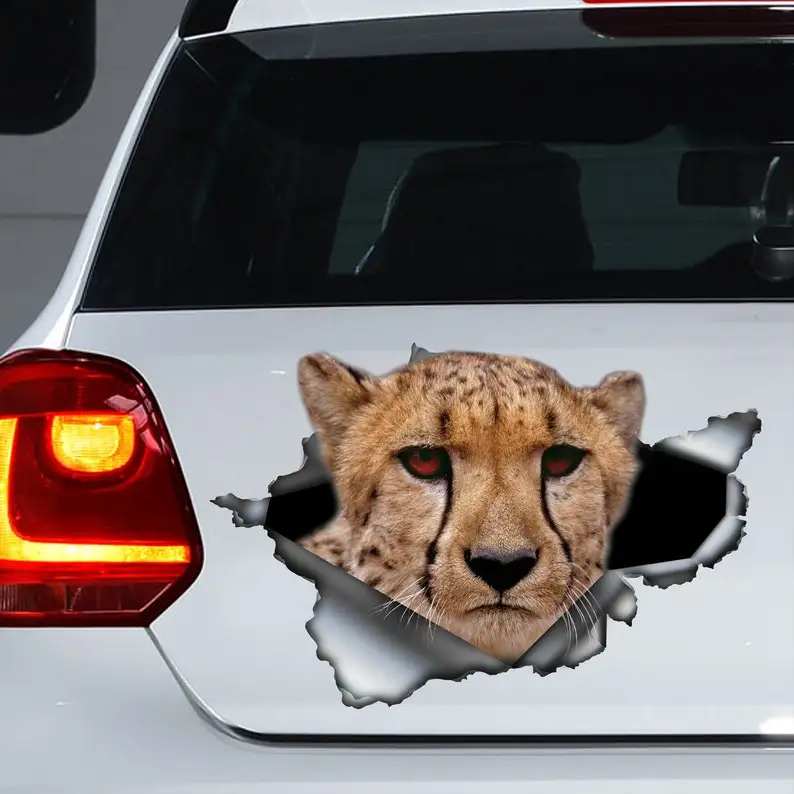 

Cheetah car decal, Cheetah magnet, Cheetah sticker, Cheetah decal