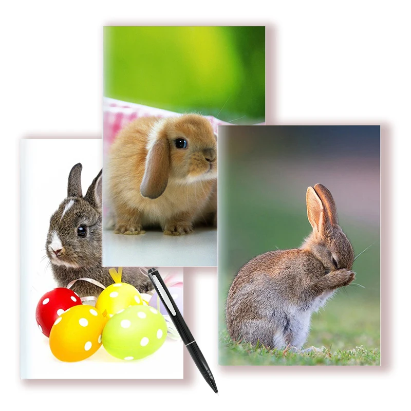 

A5 Notebook Animal Rabbit מחברת Kawai Bunny Pet Cute Planner Hare Plants Cover Decor Journal Supplies Diary Cuaderno De Viaje