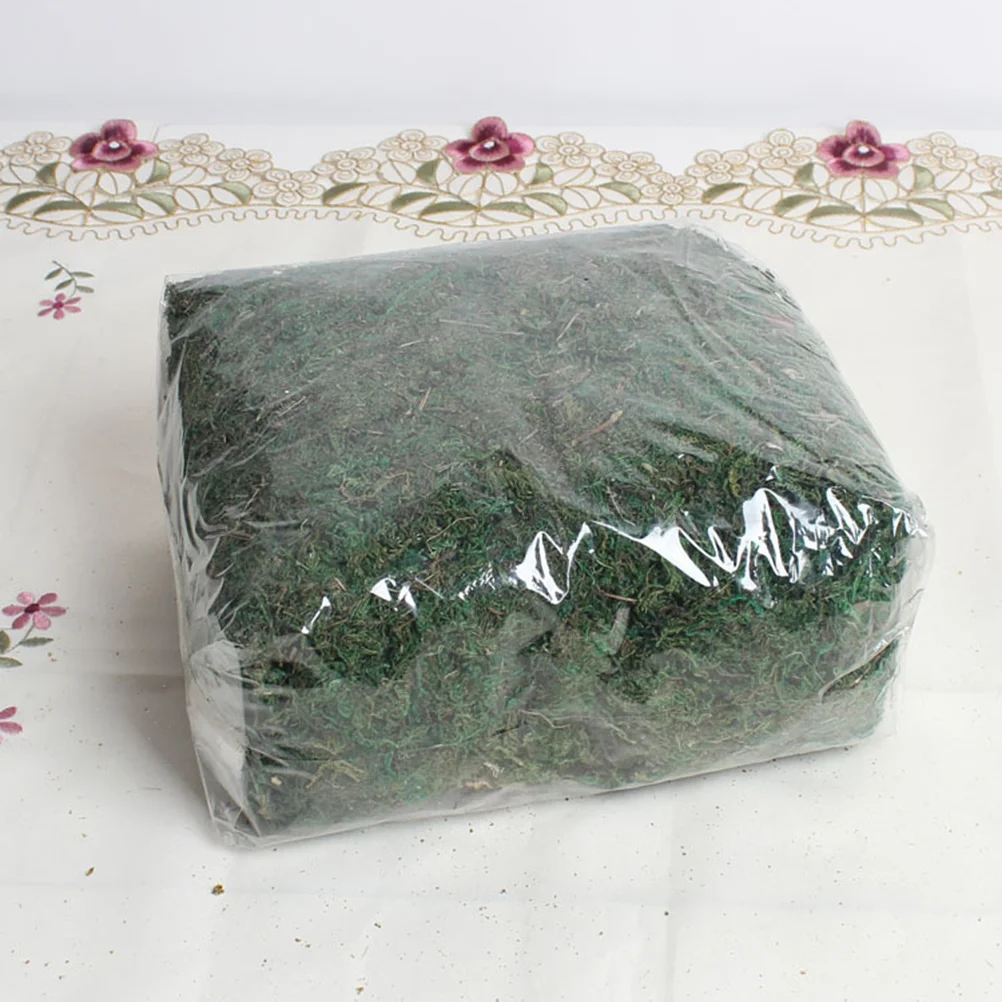 

Fake Artificial Faux Decoration Spanish Terrarium Crafts Green Lichen Ornaments Flower Tank Vase Filler Turf Aquarium Simulation