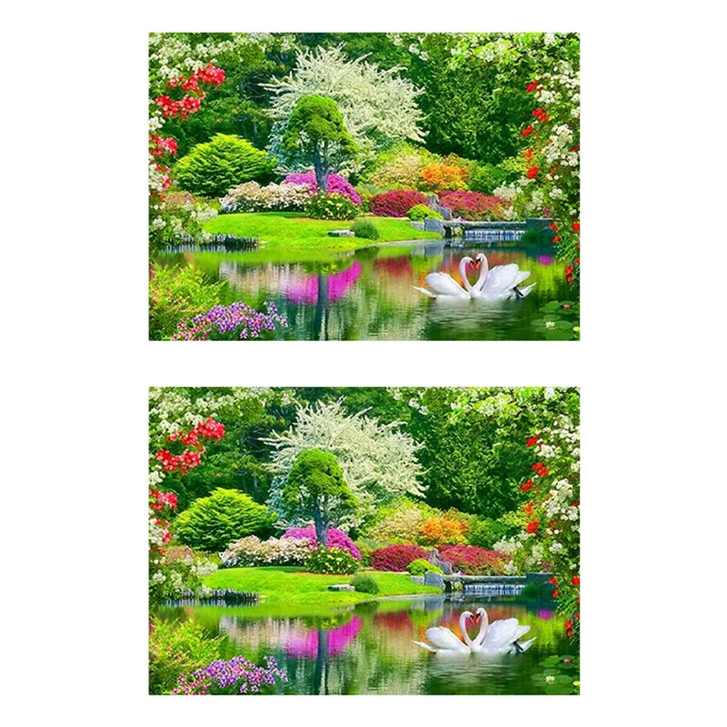 

Набор для алмазной вышивки Lakeview Swan, 2 шт.