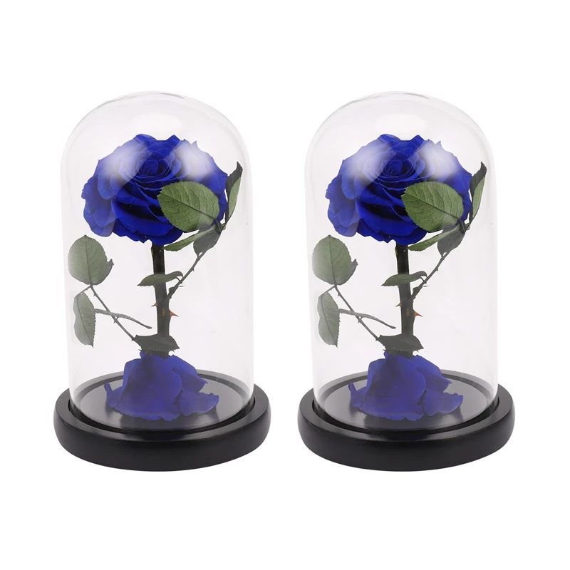 

Стеклянная крышка 2X, свежий консервированный цветок розы, Колючая Роза, цветы для свадьбы, брака, дома, подарок на день Святого Валентина, си...