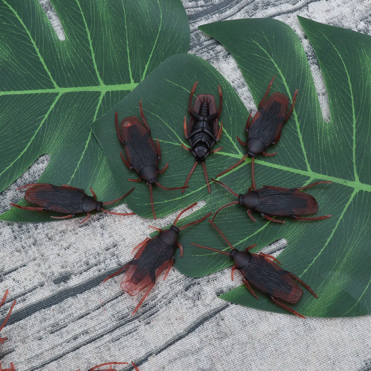 

Roaches Prank Cockroaches Fake Halloweenpranks Bugs Roachnovelty Realistic Lifelike Fools April Adults Bulk Simulation Prop Faux