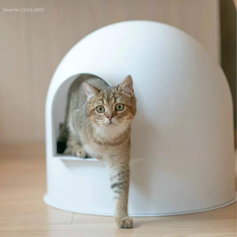 Cat Igloo Litter Box
