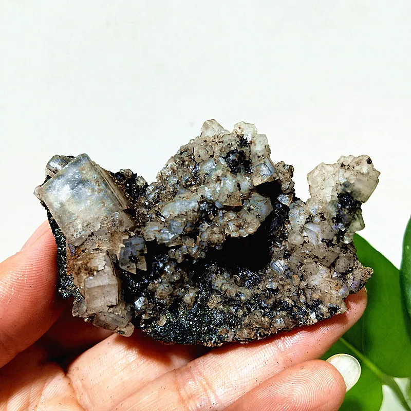 

Эпидот Кристалл Симбиотическая руда EBET