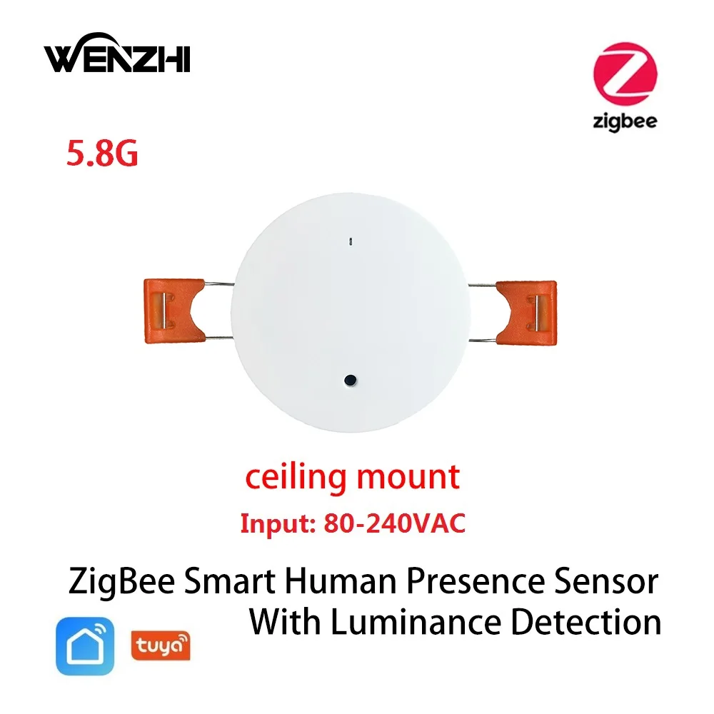 

Датчик движения Wenzhi ZigBee 5.8/24G