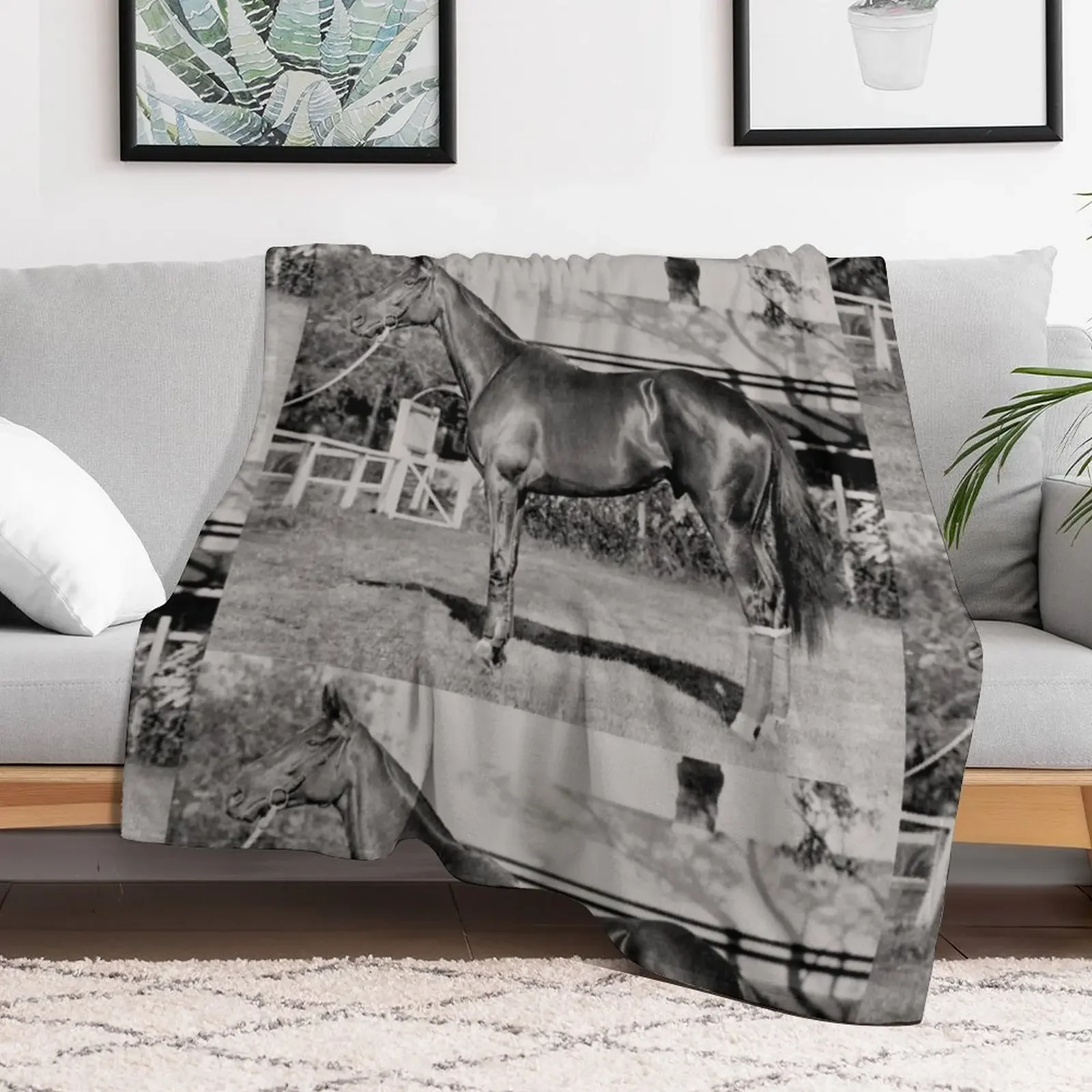 Чемпион австралийской гоночной лошади Phar Lap. Плед плед на диван Симпатичные