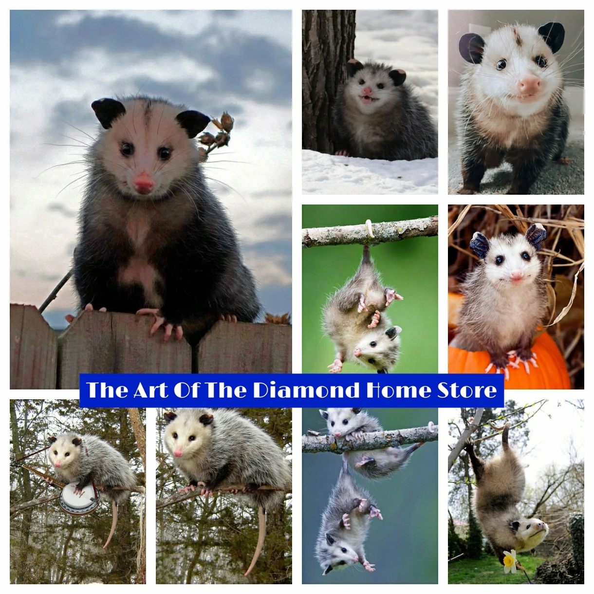 

Cute Opossum AB Diamond Painting Mosaic Embroidery Cartoon Animal Cross Stitch Handmade Craft Rhinestones Home Decor Kids Gift