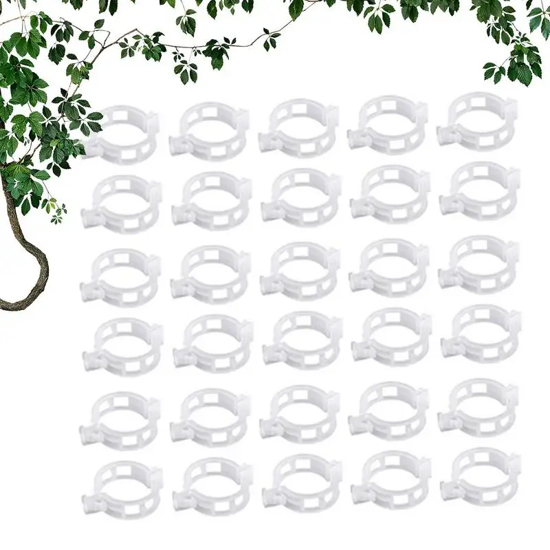 

Garden Plant Support Clips 50 Pieces Gardening Clips Plant Supports For String Trellis Reusable White Vine Clip Tomato Clips To