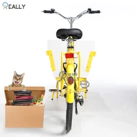 Colorful Two Wheels Electric Pedal Assistant Mobile Cargo Bike Adult Bicycle With Box in Front