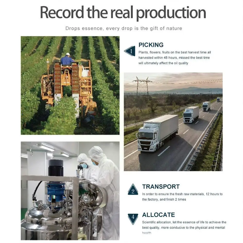 

Hot Sale Hip Lift Butt Enlargement 100% Pure Natural Fragrance Oil For Buttocks Up Massage Oil Body Care Essential Oil Butt R1y3